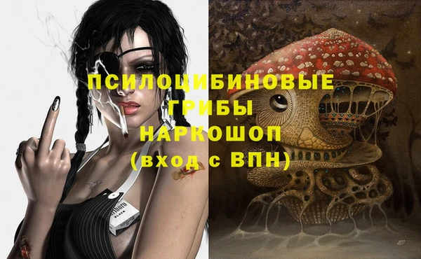 spice Горнозаводск