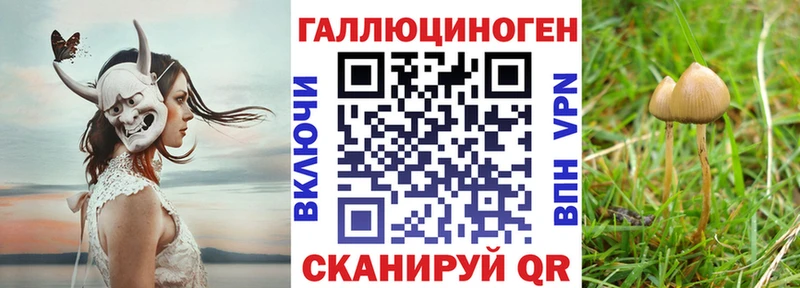 Галлюциногенные грибы MAGIC MUSHROOMS  Купить где  Кемь 